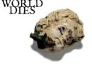 As The World Dies – “Nebula“