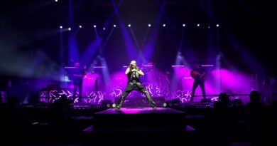 SALTATIO MORTIS feurig in der Sporthalle Hamburg SALTATIO MORTIS feurig in der Sporthalle Hamburg