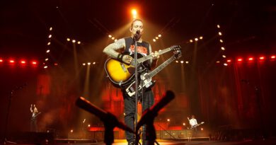Volbeat / Bush / Whitch Fever LIVE in der Barclays Arena Hamburg: Grandios!
