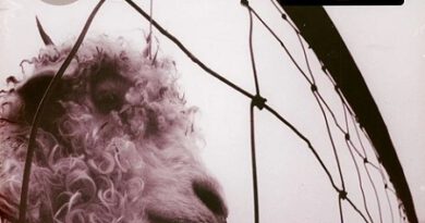 Pearl Jam – „Vs.“ 30th Anniversary Edition